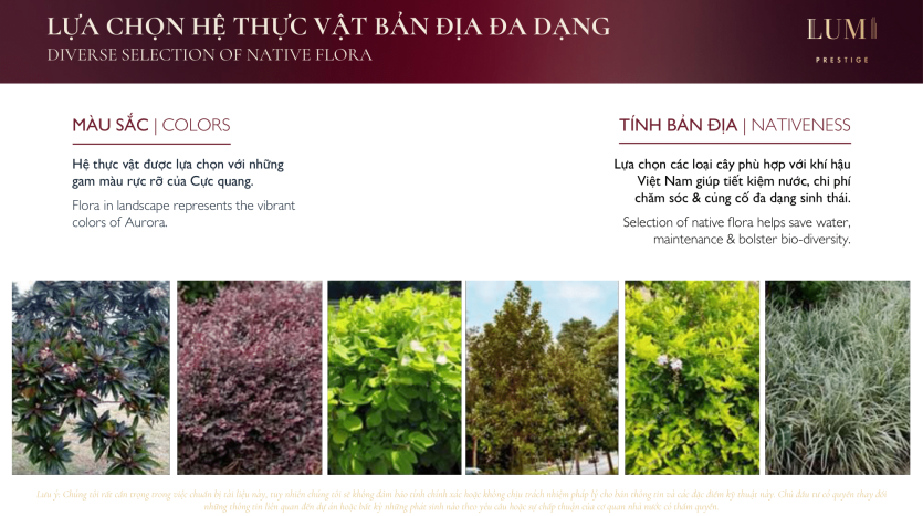 Lumi Prestige - Diverse selection of native flora