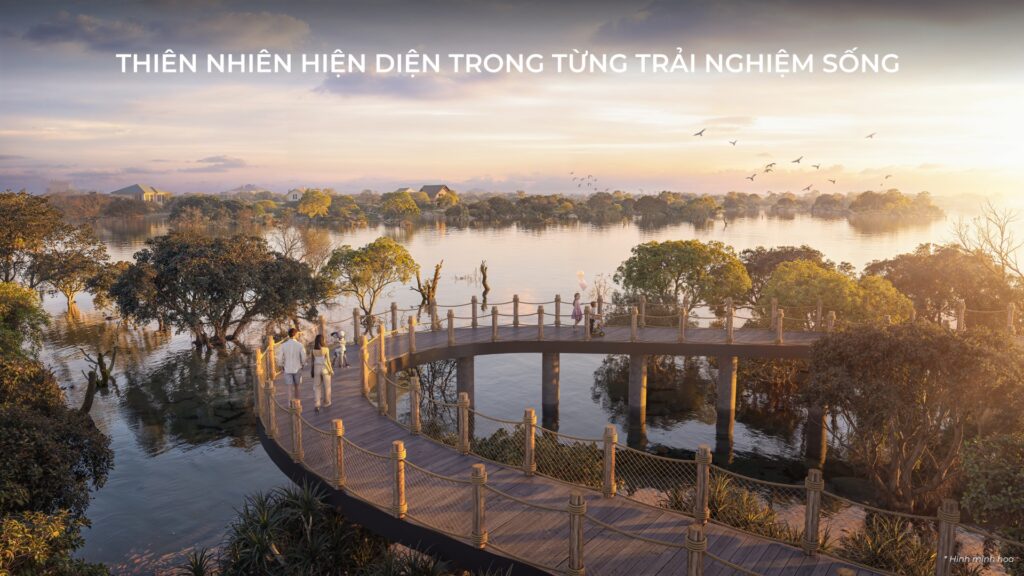 Haus Coastal Quang Ngai natural discovery bridge connecting mangrove conservation park | Cầu khám phá thiên nhiên Haus Coastal Quảng Ngãi
