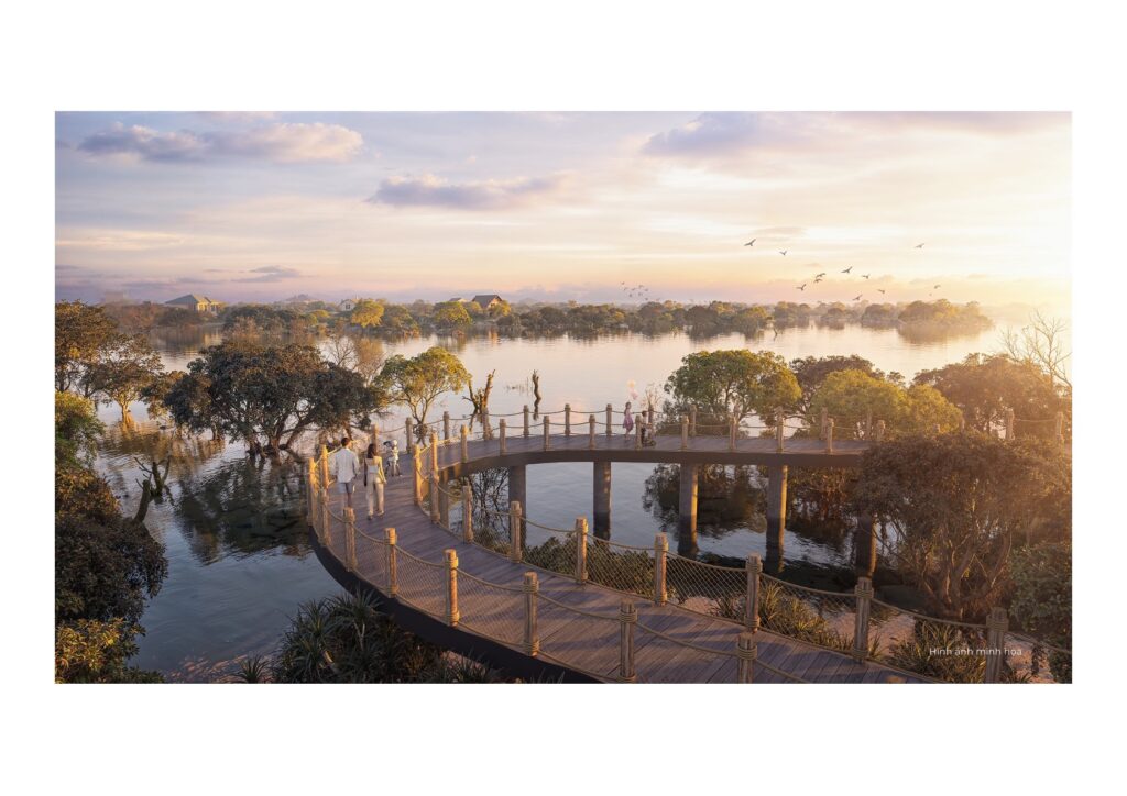 Cầu uốn lượn sunset rừng ngập mặn — SHMA | SHMA curved boardwalk sunset mangrove