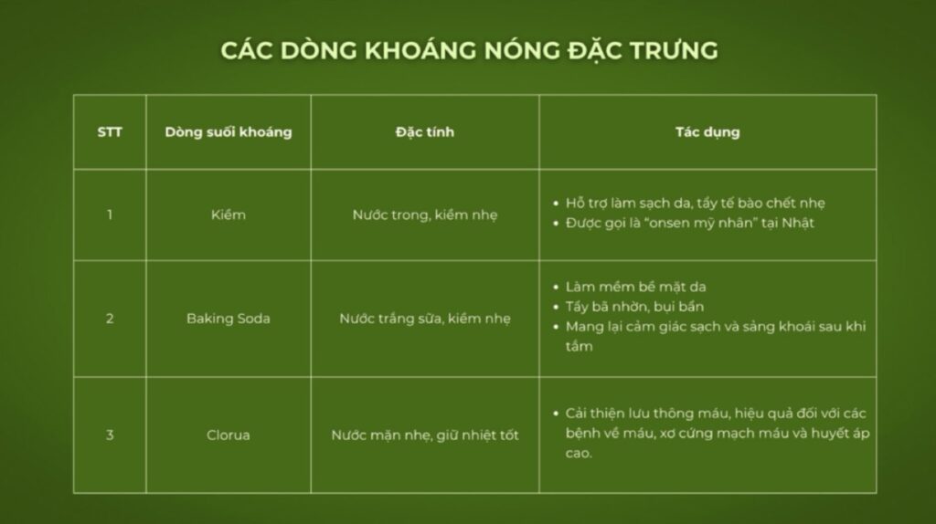 Các dòng khoáng nóng đặc trưng tại Onsen Clubhouse Eco Forest Onsen | Signature mineral hot spring varieties at Eco Forest Onsen Onsen Clubhouse