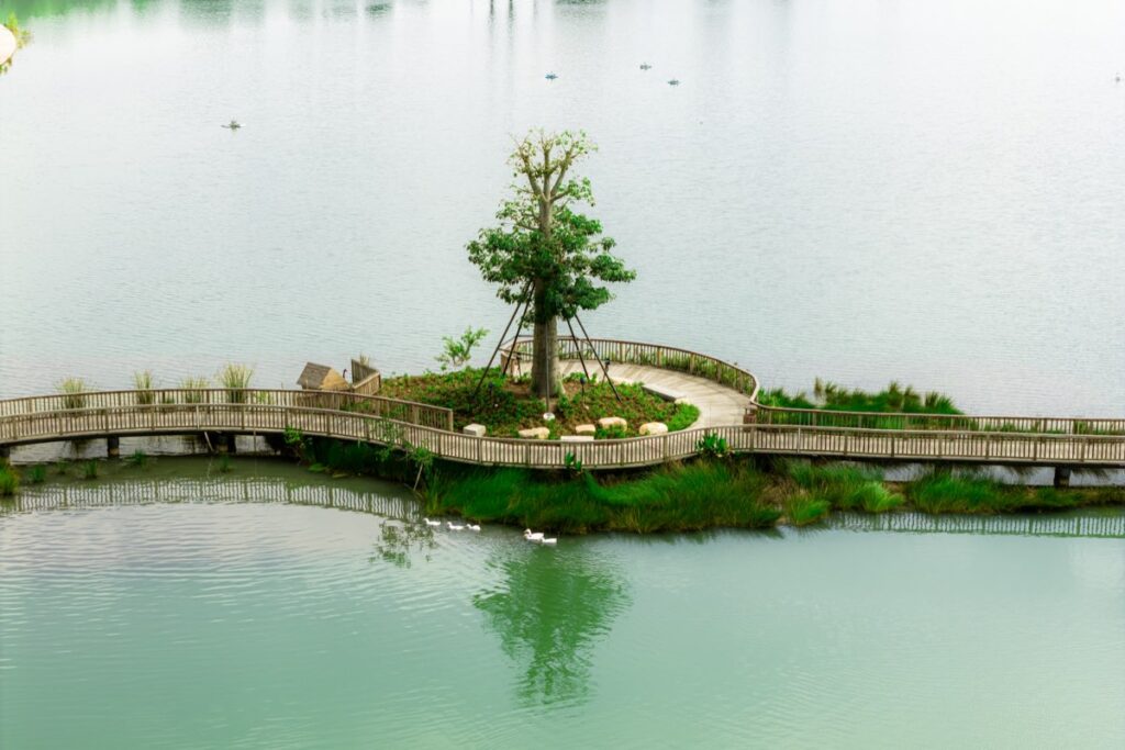 Cầu nối tại Hồ Thiên Nga Eco Retreat | Bridge across Swan Lake Eco Retreat