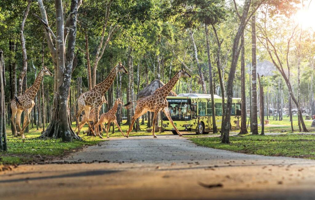 Đại công viên VinWonders – phân khu Safari Vinhomes Green Paradise Cần Giờ | VinWonders mega-park – Safari zone Vinhomes Green Paradise Can Gio