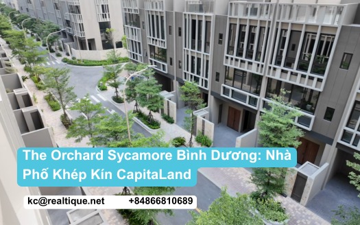 The Orchard Sycamore Bình Dương — phân khu nhà phố khép kín CapitaLand | The Orchard Sycamore gated landed precinct