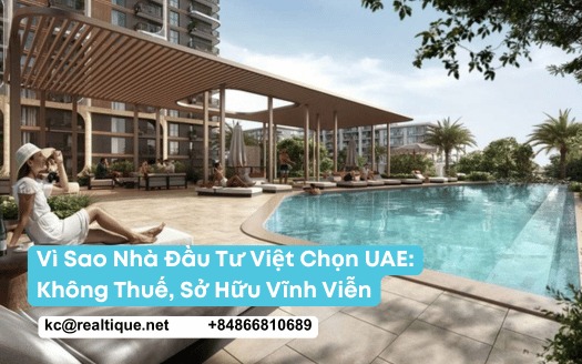 Thumbnail: Vì sao nhà đầu tư Việt chọn UAE | Thumbnail: Why Vietnamese investors choose the UAE