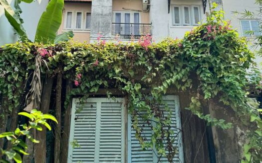 Cho thuê nhà phố 2 mặt tiền Làng Báo Chí Thảo Điền — 6PN, ở / văn phòng / kinh doanh | từ 35 triệu/tháng