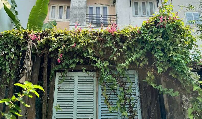 Mặt tiền phía công viên ven sông, nhà phố Làng Báo Chí Thảo Điền | Riverside-park frontage, Lang Bao Chi townhouse in Thao Dien