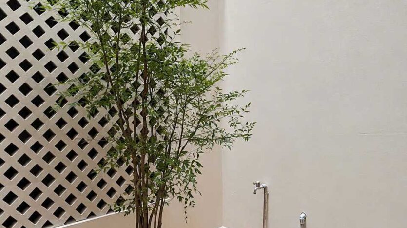 Giếng trời có cây xanh | Light well with an indoor tree